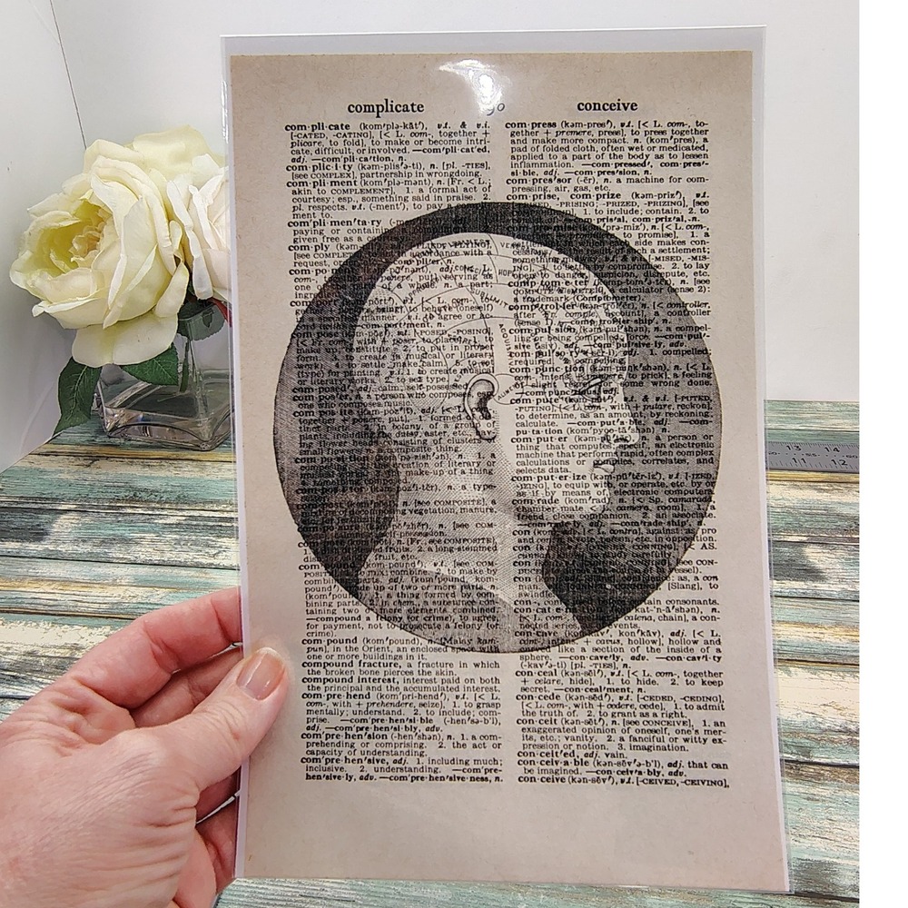 Macabre Gothic Skull Dissection Chart Illustration Vintage Dictionary Page Decor